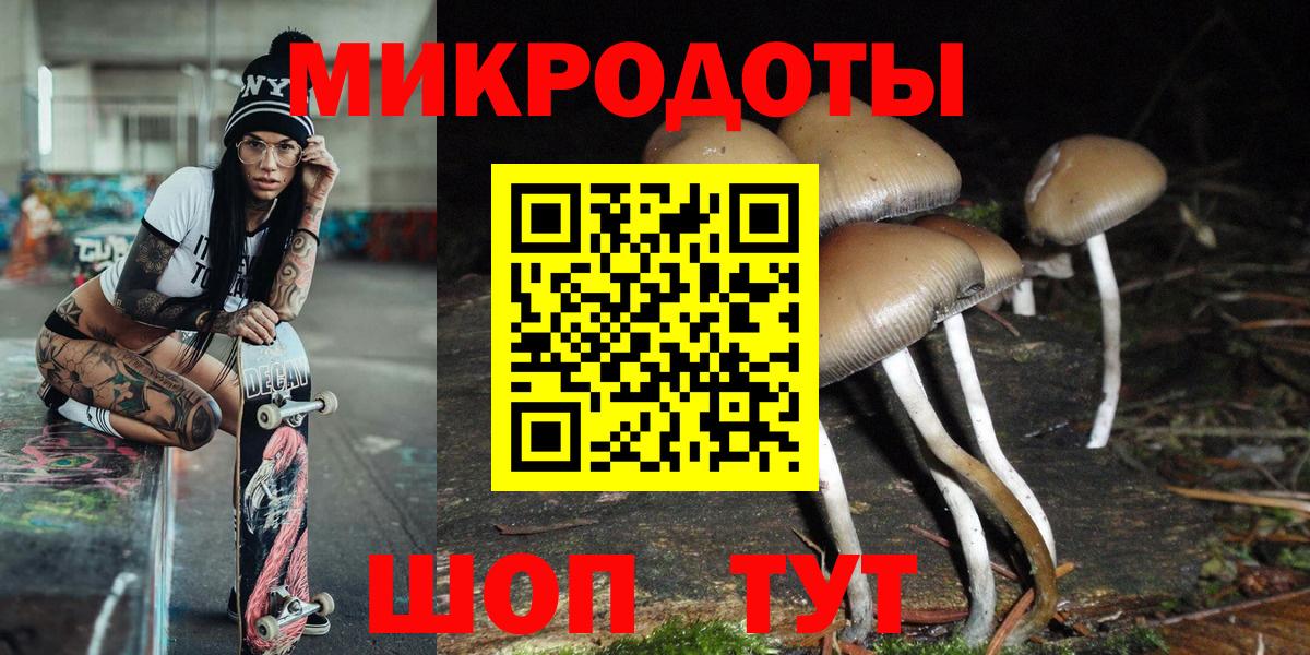 цена наркотик  Галлюциногенные грибы мухоморы  Псилоцибиновые грибы Cubensis  Вход с VPN  Елец 